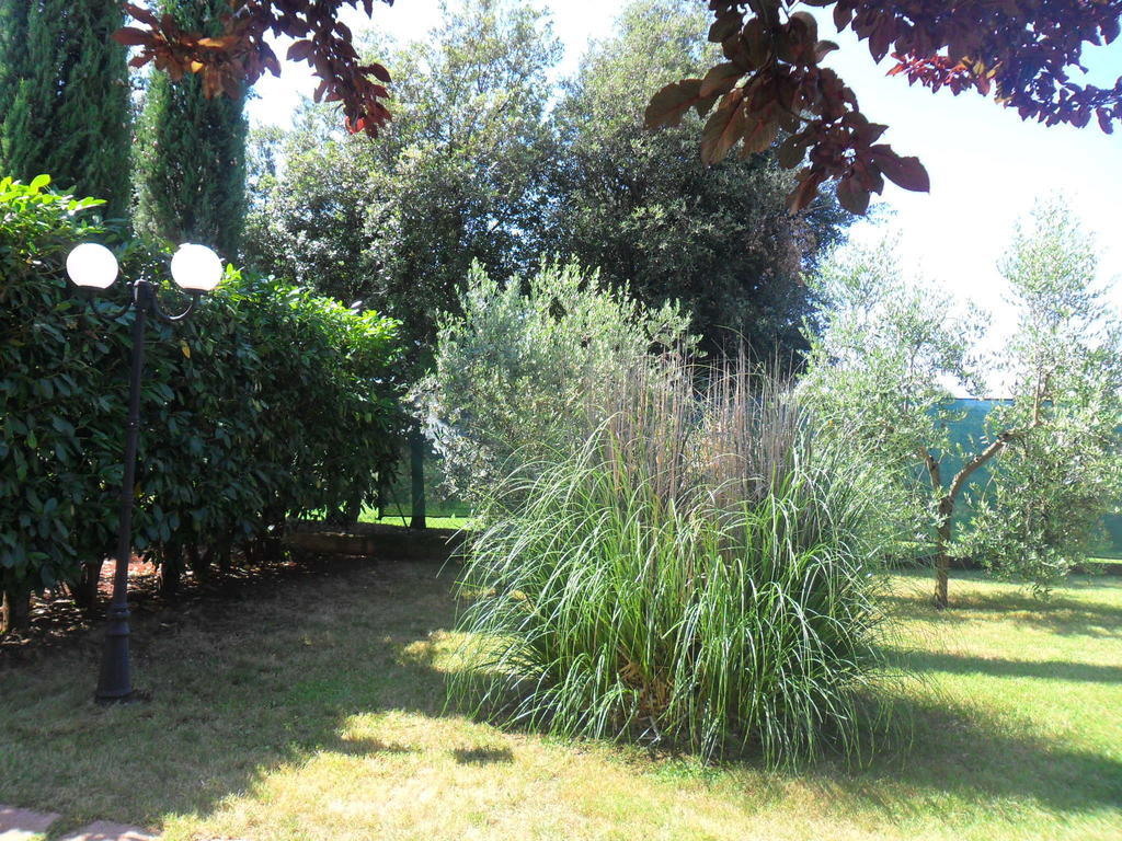 Casale Santa Caterina Aparthotel Amelia Kültér fotó