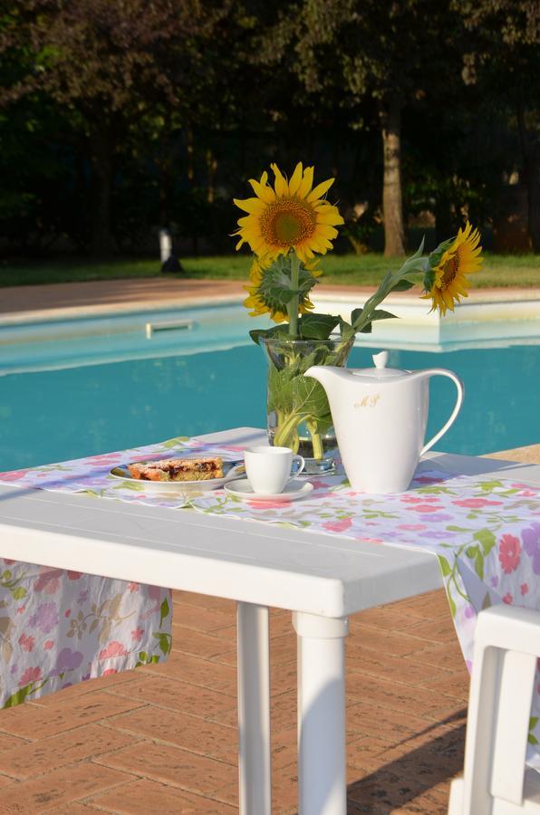 Casale Santa Caterina Aparthotel Amelia Kültér fotó